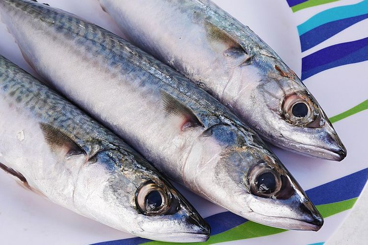 5 Makanan yang Baik untuk Kesehatan Sendi Rahang