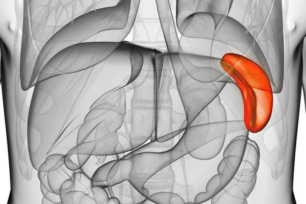 10 Kebiasaan Buruk yang Bisa Merusak Kesehatan Limpa 10 Kebiasaan Buruk yang Bisa Merusak Kesehatan Limpa