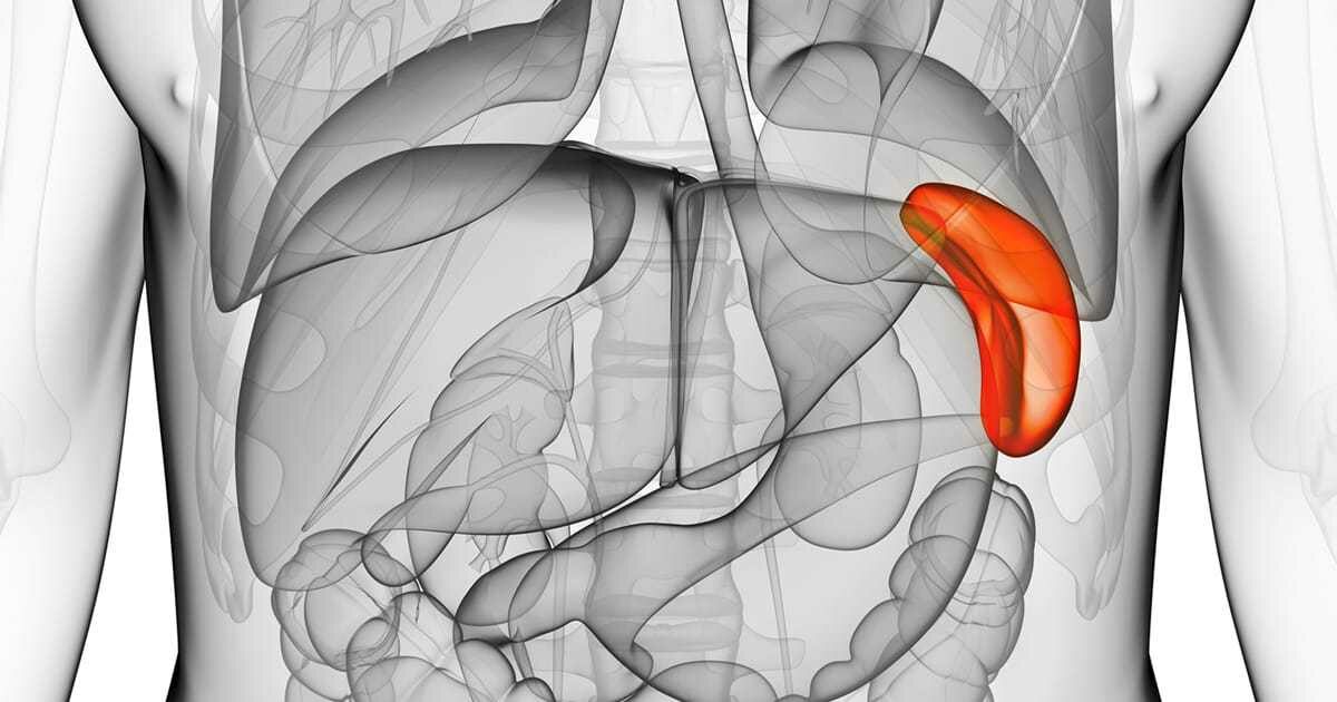 10 Kebiasaan Buruk yang Bisa Merusak Kesehatan Limpa