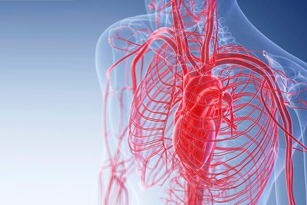 7 Tanda Pembuluh Darah Tidak Sehat yang Sering Diabaikan